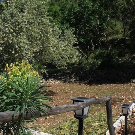 Seaside Secluded Cove Karkavac - Scedro, Hvar - 8801 * Jelsa (Hvar)